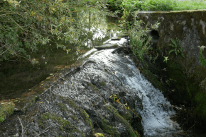 Rivière