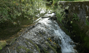 Rivière