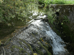 Rivière